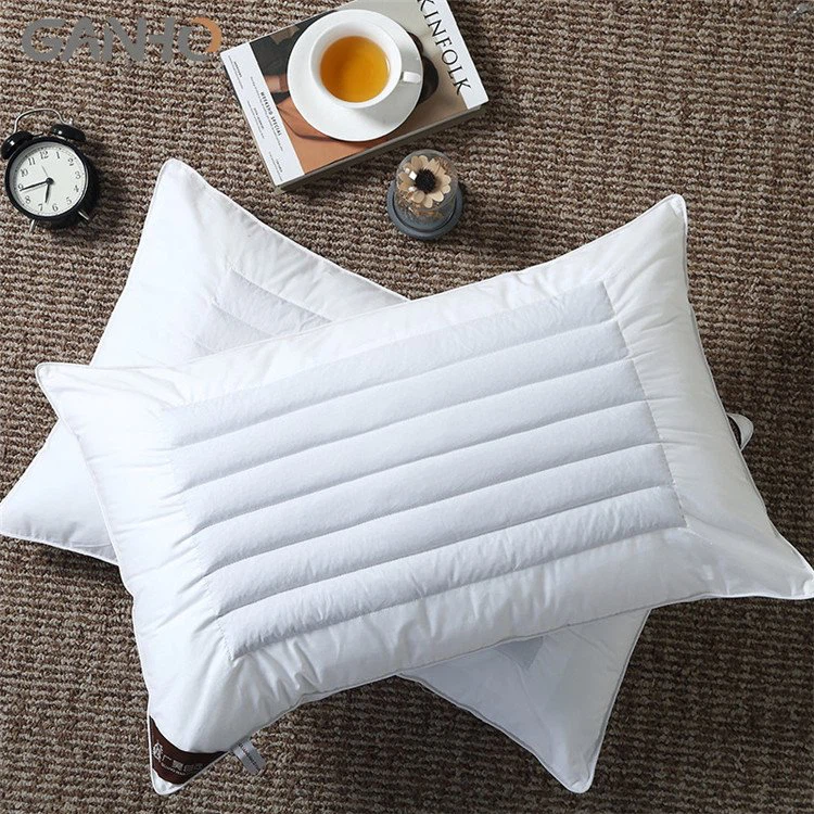 Organic Health Buckwheat Pillow